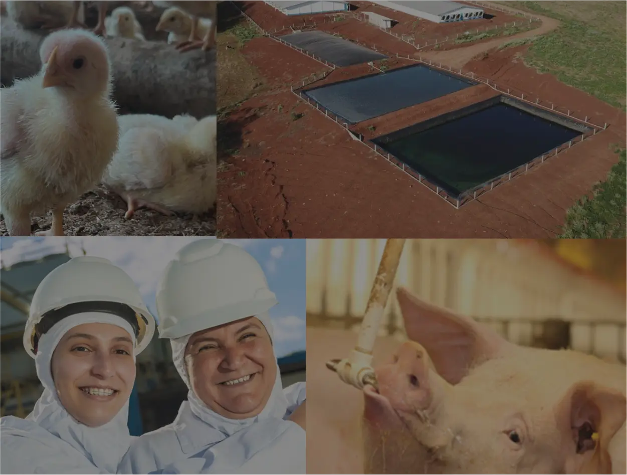 sustentabilidade-home-mobile