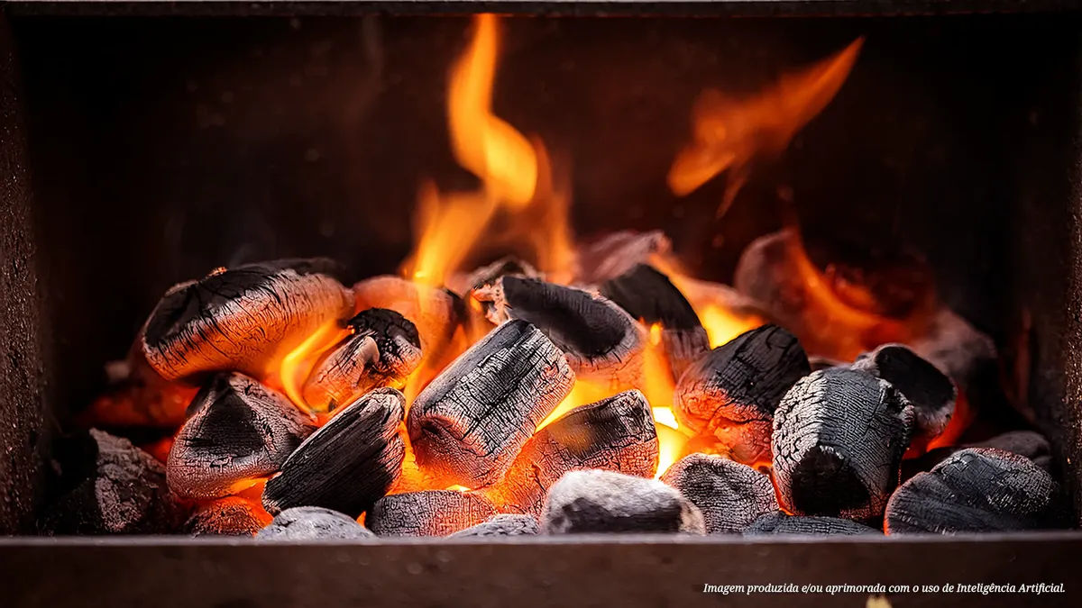 Brasa forte ou suave? Aprenda a ajustar o calor para cada tipo de carne