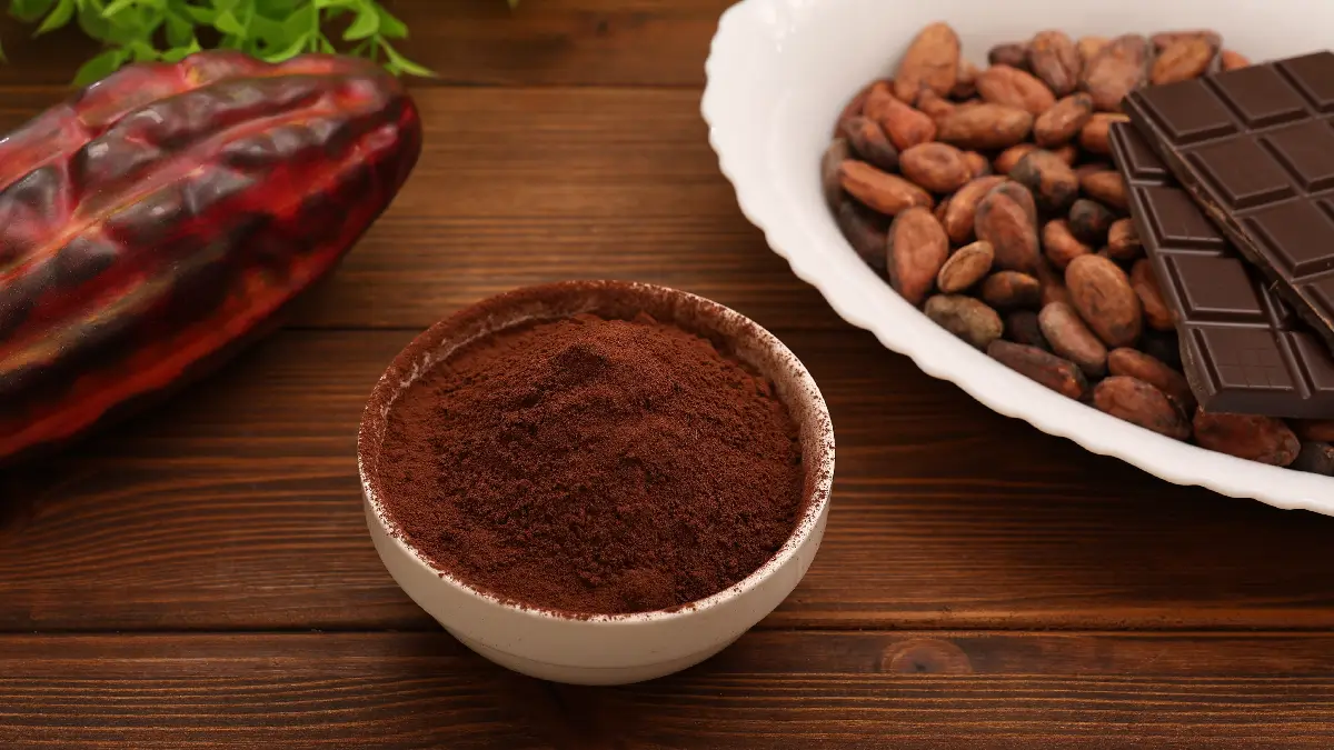 Cacau em pó em uma tigela branca.