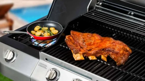 Costela minga, janela e ripa: conheça os diferentes tipos de costela bovina