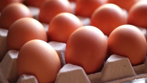 Você lava o ovo antes de guardar? Descubra o que dizem os especialistas